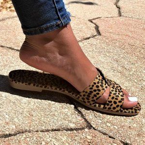 Everglades Lulu-6 "CHEETAH" Sandals / Slides - NIB